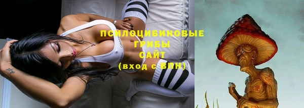 гашик Лихославль