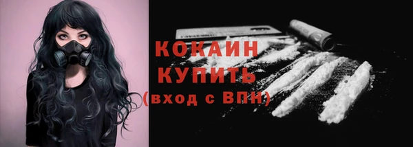 прущие грибы Майский