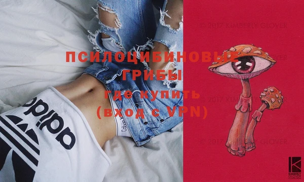 гашик Лихославль