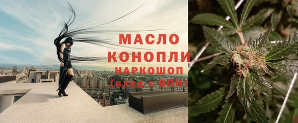 молекула духа Магадан