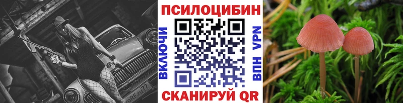 Галлюциногенные грибы мицелий  Купить  Щигры 